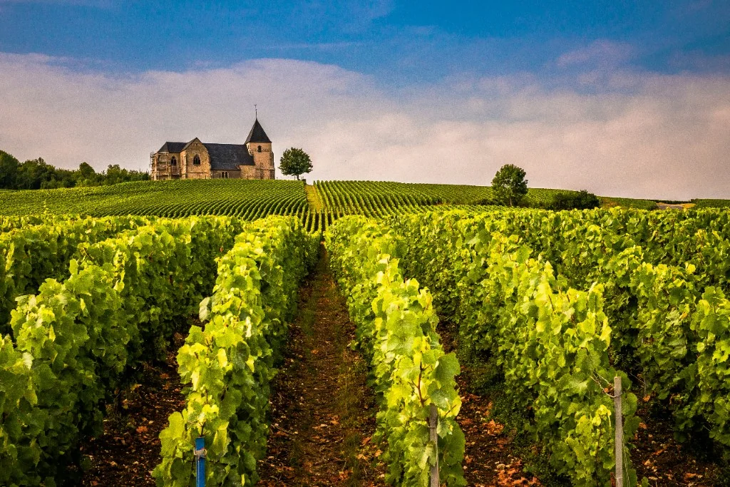 Vineyard and stone building in Champagne